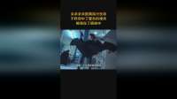 女杀手去医院执行任务，不料却中了警员的埋伏，被堵在了病房中