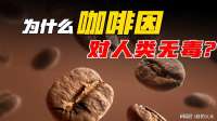 为什么对动物有毒的咖啡因，却对人类“无毒”？
