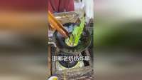 邯郸77岁老奶奶炸串一元四串