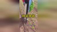种菜神器！