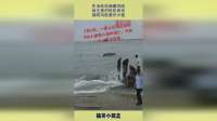 生活处处暗藏风险，缺乏意识危机四伏，拥有风险意识才稳