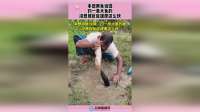 本想用鱼当饵，钓一条大鱼的，没想到反应速度这么快！