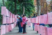 “新垣结衣去相亲角，只能找二婚的”