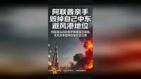阿联酋亲手毁掉自己中东避风港地位！ 阿联酋主动空袭伊朗遭猛烈报复，流失资本毁掉自身安全口碑#中东局势