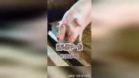 这头猪不一般，拥有两个猪头
