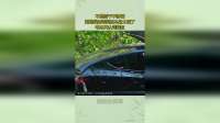 不是树干不够硬，而是我的特斯拉车身太硬了，电车只认特斯拉！