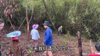老挝挖山请20个工人，做这个能赚到钱吗？