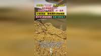 自助餐添加“饱腹剂”？真相揭秘