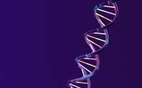 人类基因开关：科学家找到那1%差异的藏身之处