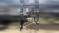 河南小伙在阿富汗雇人耕地种菜“蔬菜种子都是从老家带来的”网友：豆橛子，荆芥也安排上！