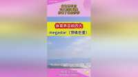 体育界，目前四大顶级巨星，厉害了我的莎莎