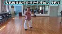 太极拳倒撵猴动作精讲，零基础入门教学；传统杨式太极拳85式