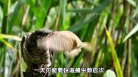 耗尽一年全部精力养大的孩子，到头来是杀死自己亲生孩子的凶手