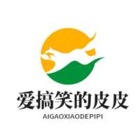 爱搞笑的皮皮