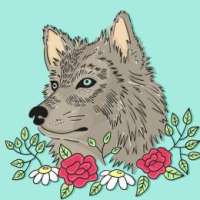 虫虫看大剧