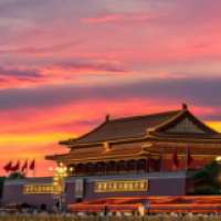 一只小小向