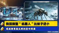 我国微型“机器人”比蚊子还小或成美军最头疼的空中间谍