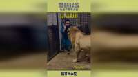 他遭遇突发状况时，现场氛围紧张起来，他是不是有点慌