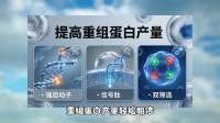 ppic9k质粒