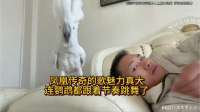 凤凰传奇的歌魅力真大，连鹦鹉都跟着节奏跳舞了