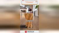 刻意雕刻桌面凿穿大理石，只为拍假视频博眼球