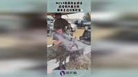M249极限射击测试，直接倒水都没用，根本无法冷却枪管！