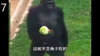 这两天换换口味，吃个包菜解解馋