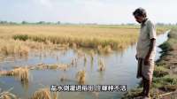 孟加拉国为什么那么穷？