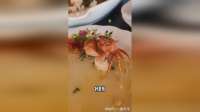 都这么红了，还吃自己的肉