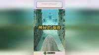 原来海底下的世界如此诡异