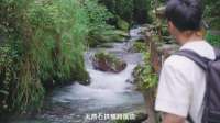 徒步天然氧吧，大口吸氧治愈身心