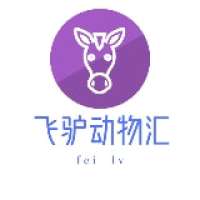 飞驴动物汇
