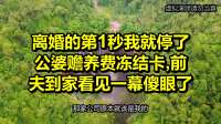 离婚的第1秒我就停了公婆赡养费冻结卡，前夫到家看见一幕傻眼了