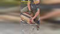其实这才是俄乌战场上士兵们装弹最真实的一幕