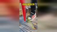机械化种西红柿，太秀了