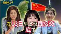郑丽文正式征召魏平政！弃用谢衣凤原因公布 蔡壁如却想参选搅局
