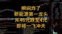 汇金出手！逆势增持新能源5朵金花，有望暴涨1000%!
