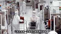 芯片战场的“孤胆英雄”，一人能敌一个体系？