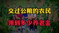 1949-1979年交过公粮的农民，如今可以领到多少养老金？
