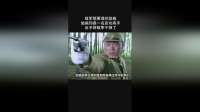 敌军想要埋伏姑娘姑娘却是一名武功高手反手将敌军干掉了