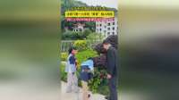 步步有绿植，处处是花香！沈家门第一小学将“美育”融入校园