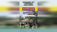 坚持吃这些活到一百岁，建议转发家族群，让全村人都照着学！