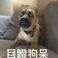 黄丽搞笑小能手