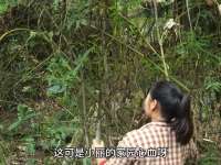 小丽要开始对旧住所进行拆除改造了