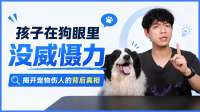 养了多年的狗突然咬伤自家娃！家长千万警惕