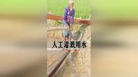 人工灌溉用水，干活不腰疼