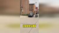 还真的是什么车都有呀