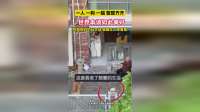 奶奶和金毛在玩气球，猫猫在一旁安静的观看。这是让人无法拒绝的治愈时刻