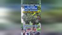 市民被淋以为“局部降雨”，抬头一看发现是树上的知了在集体排尿