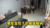 监控下的离谱瞬间！
